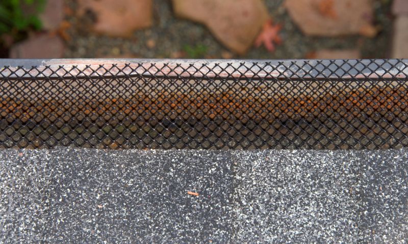 Gutter Guard Replacement in Snohomish County, WA