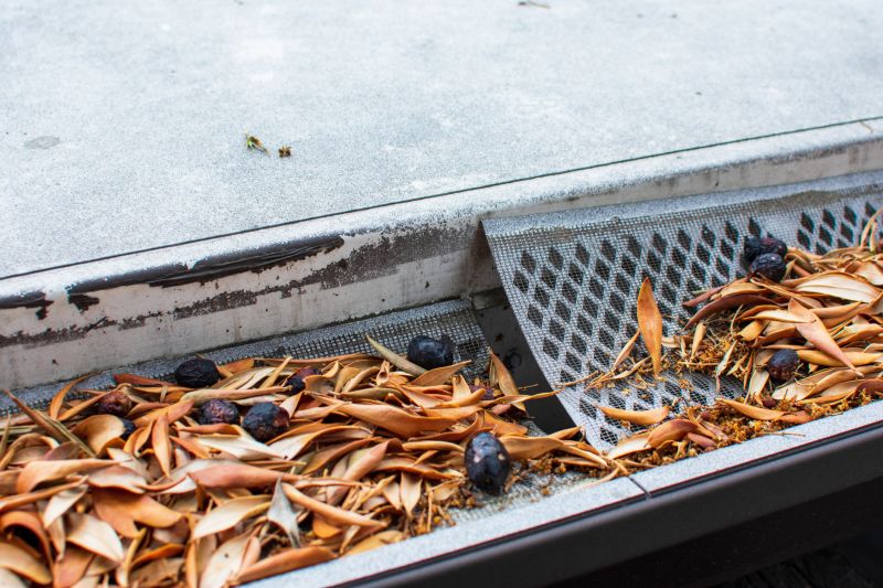 Gutter Mesh Installation in San Francisco, CA