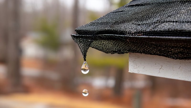 Gutter Mesh Installation in Snohomish County, WA