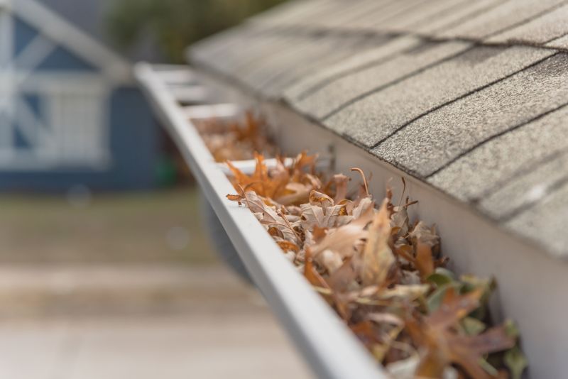 Leaf Barrier Installation in Everett, WA