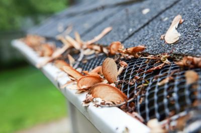 Keep Leaves and Debris Out of Your Gutters!