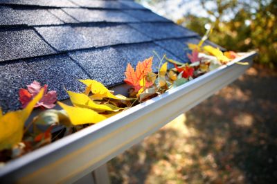Prevent Gutter Cleaning with Gutter Screens!